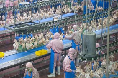 乳山預(yù)制菜企業(yè)實(shí)現(xiàn)年銷售額近10億元，飼料原料銷售雙輪驅(qū)動(dòng)