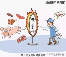 習(xí)水豬肉放心購(gòu)，飼料原料供應(yīng)穩(wěn)——解析非洲豬瘟防控下的市場(chǎng)保障