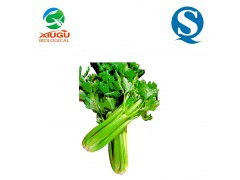 廠家直銷高品質(zhì)果蔬粉——芹菜粉，助力烘焙、膨化、固體飲料與飼料多元化應(yīng)用